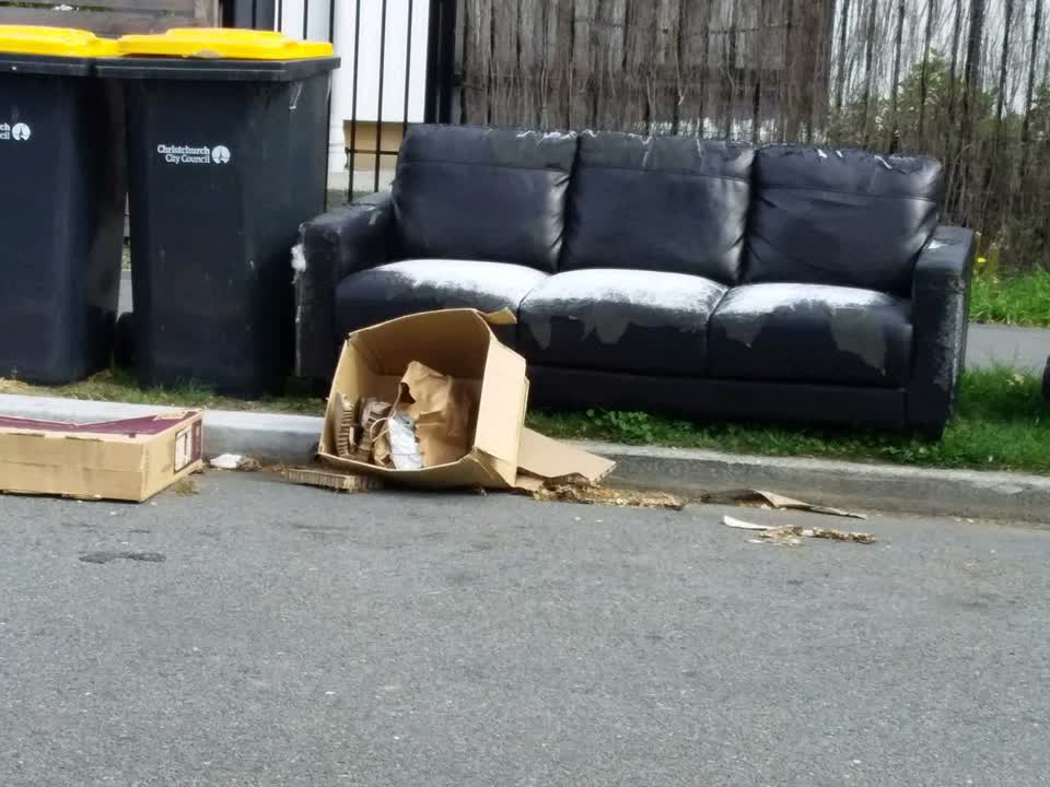 The photograph attached to this rubbish and bins - general report