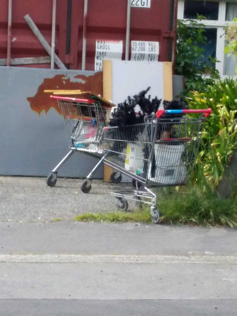 The photograph attached to this rubbish and bins - general report