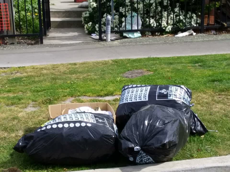 The photograph attached to this dumped rubbish report