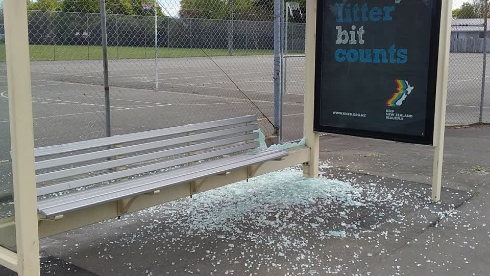 The photograph attached to this vandalism - general report