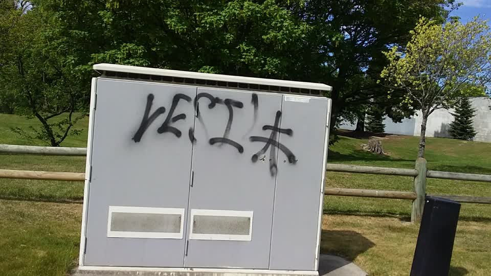 The photograph attached to this vandalism - general report