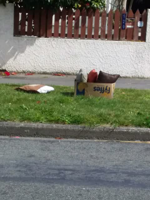 Dumped Rubbish, a report photo