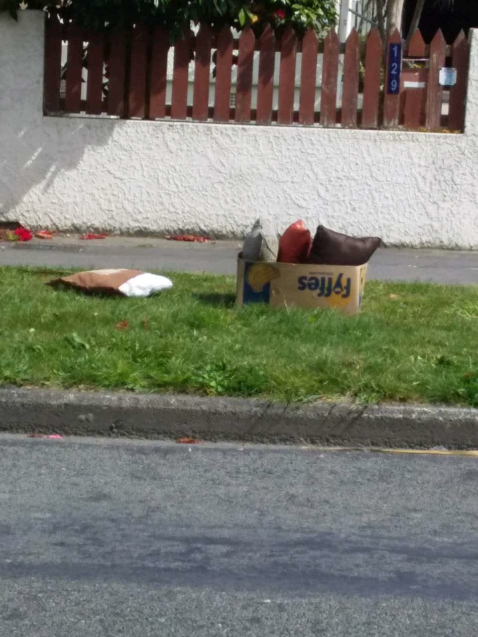 The photograph attached to this dumped rubbish report