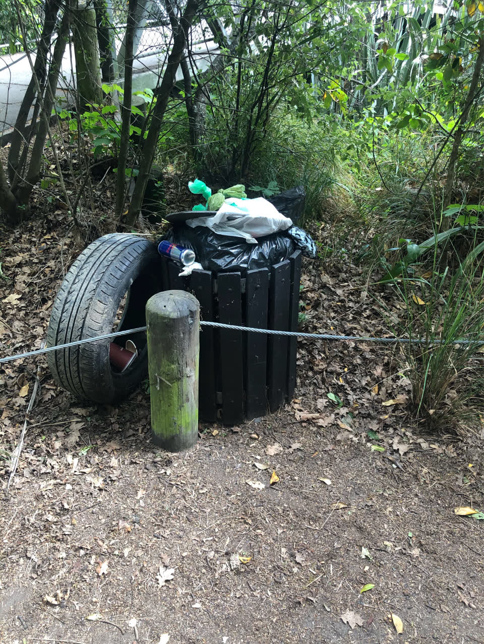 The photograph attached to this rubbish and bins - general report