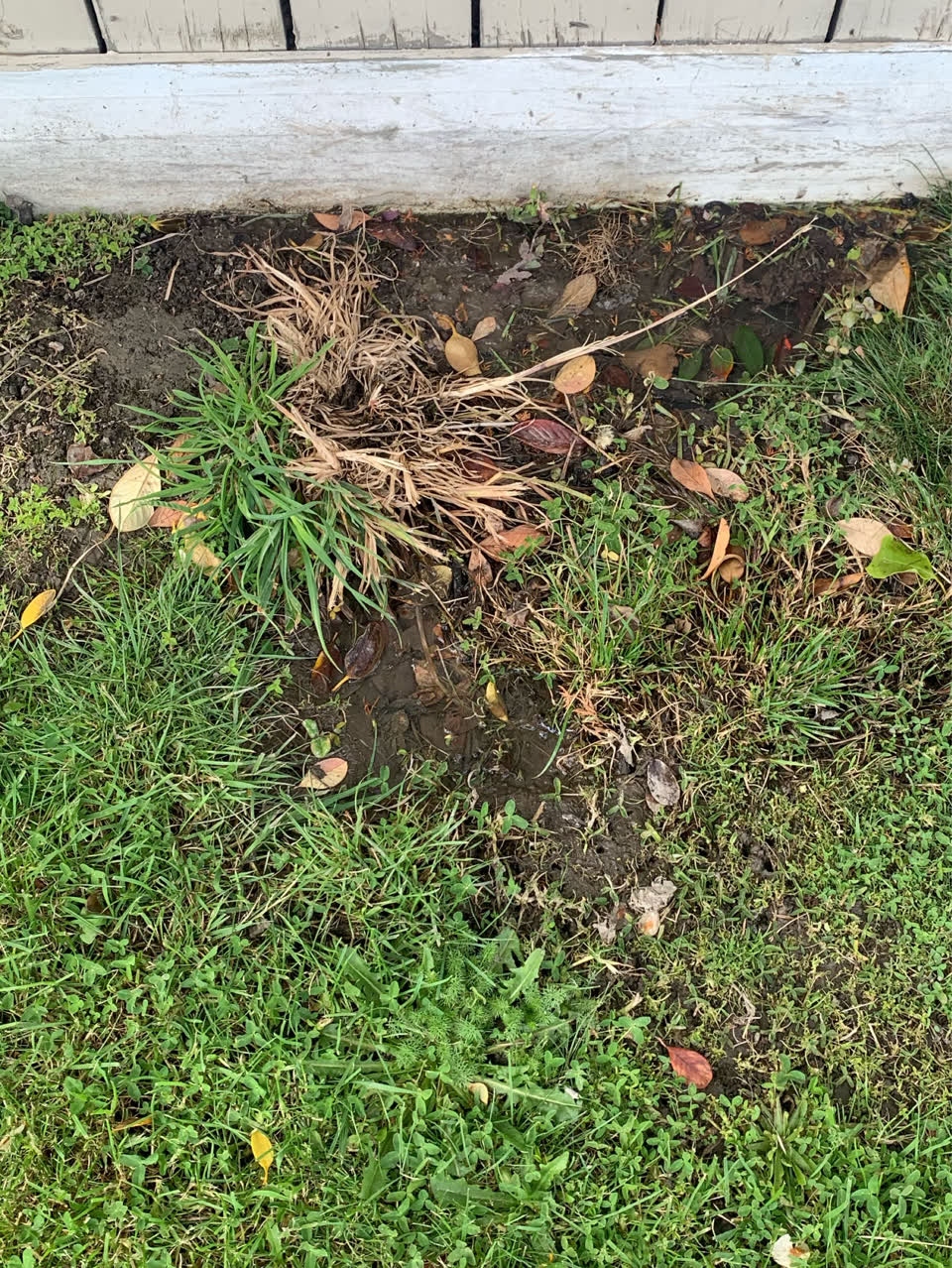 The photograph attached to this water leak report