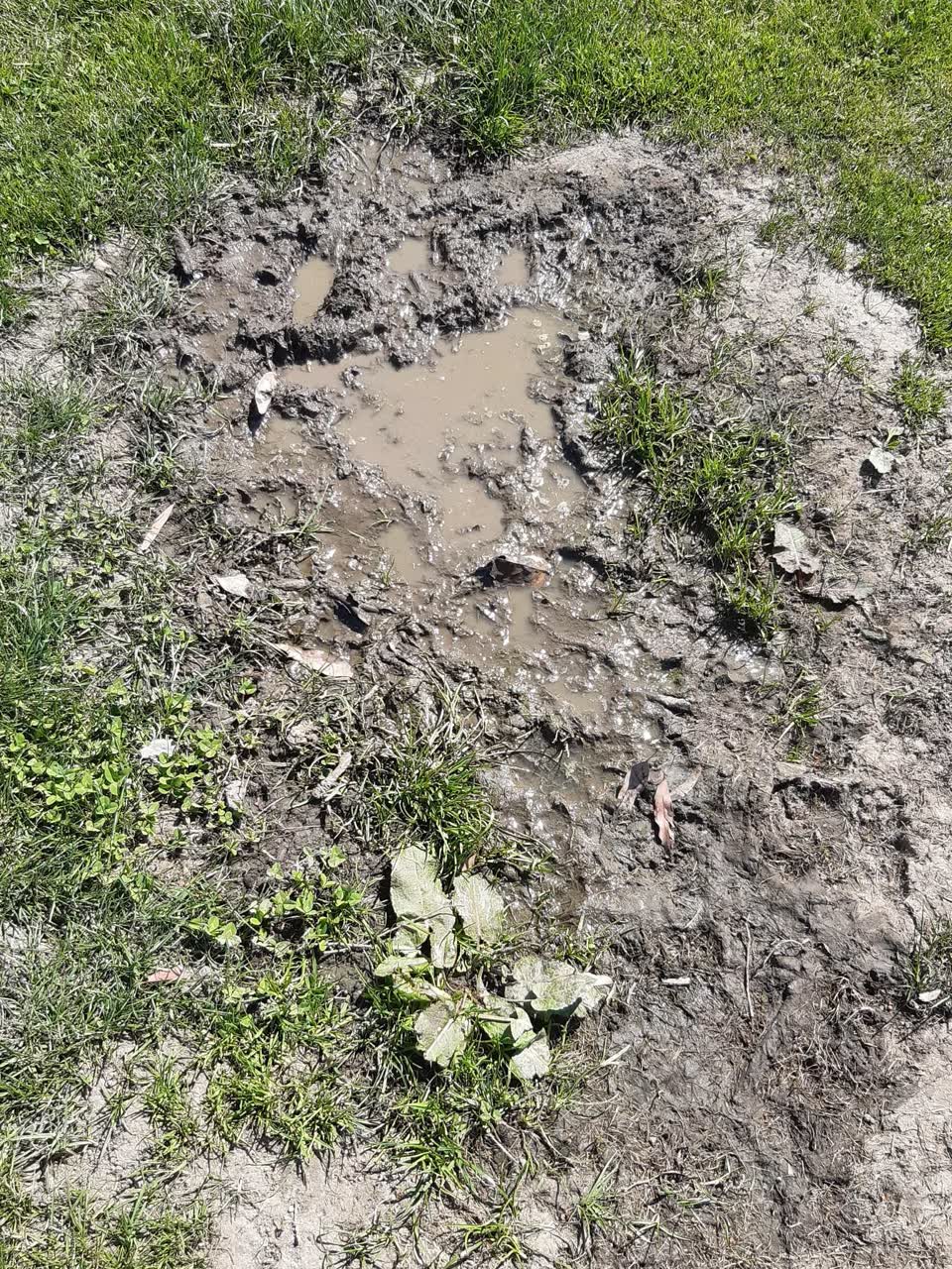 The photograph attached to this water leak report
