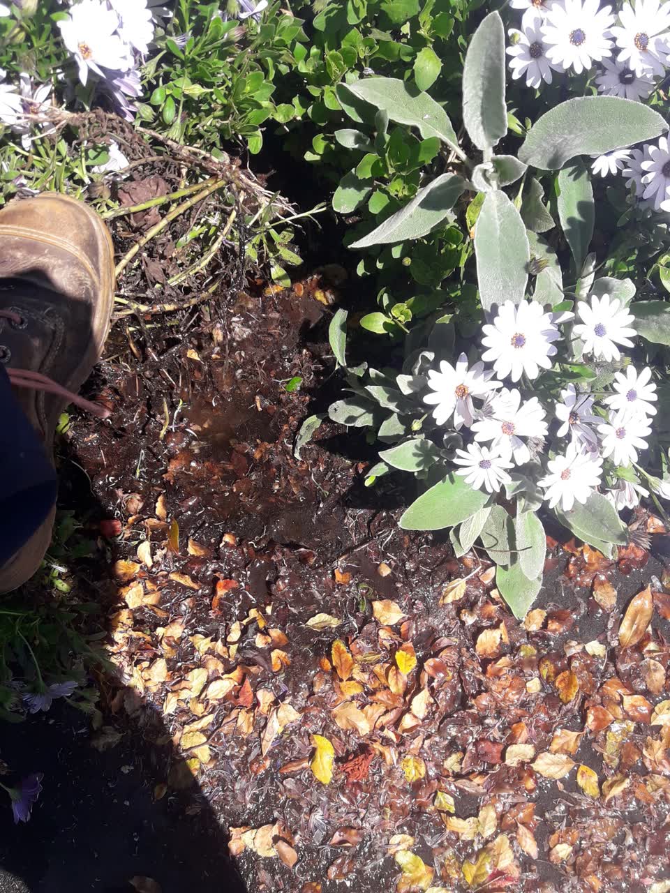 The photograph attached to this water leak report