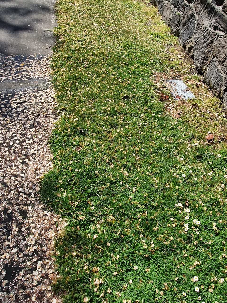 The photograph attached to this wastewater/stormwater report