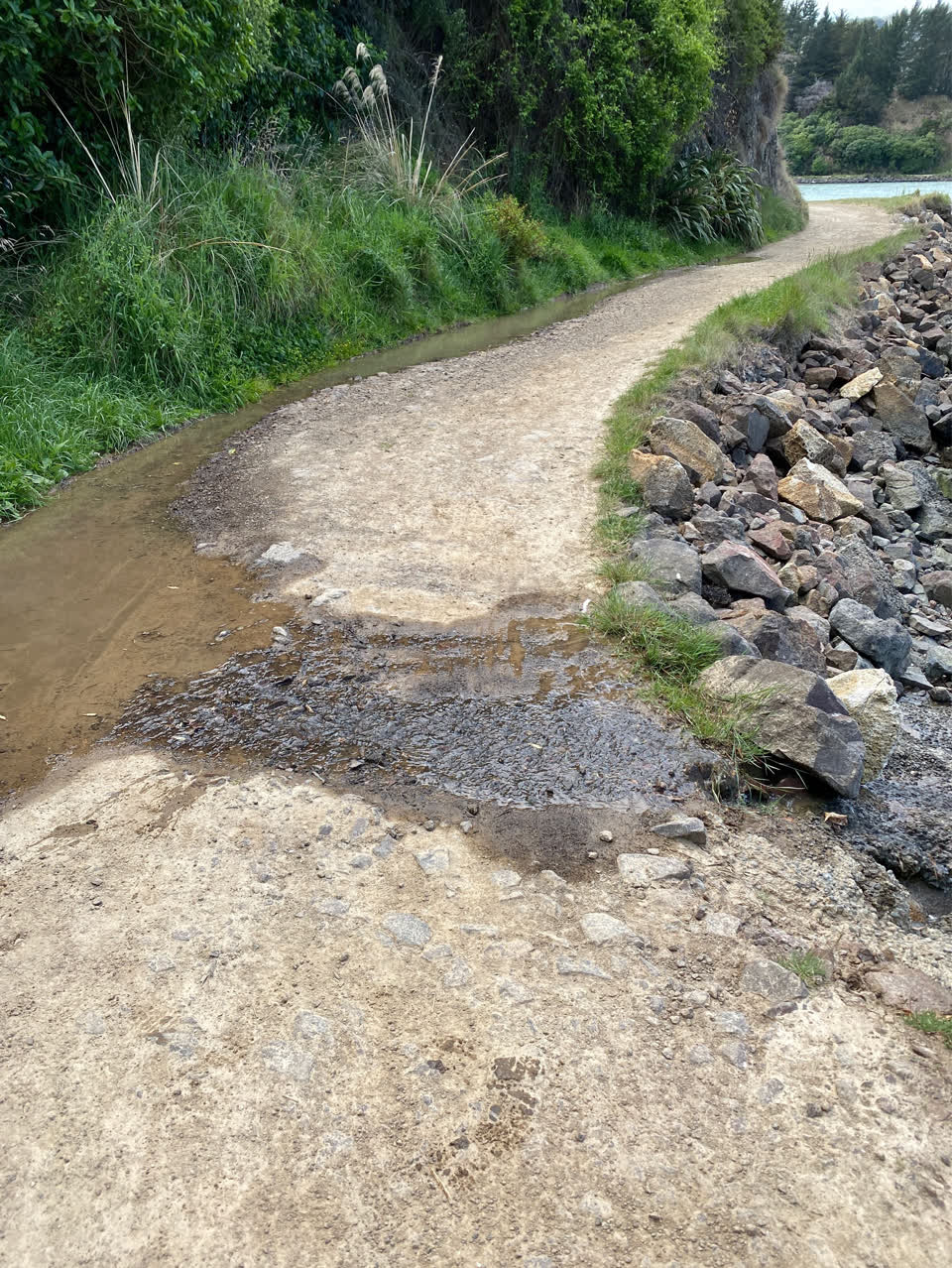 The photograph attached to this water leak report