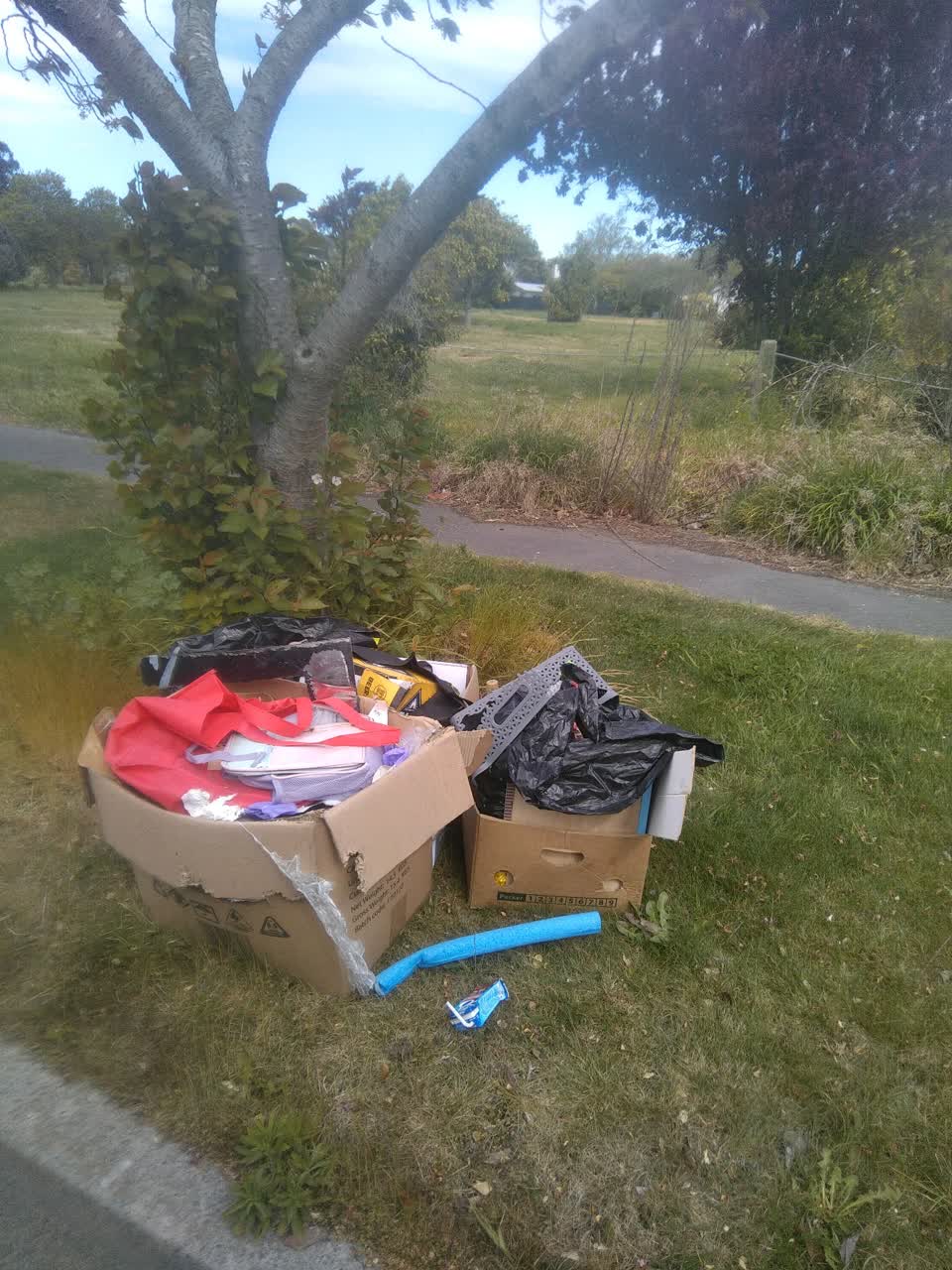 The photograph attached to this dumped rubbish report