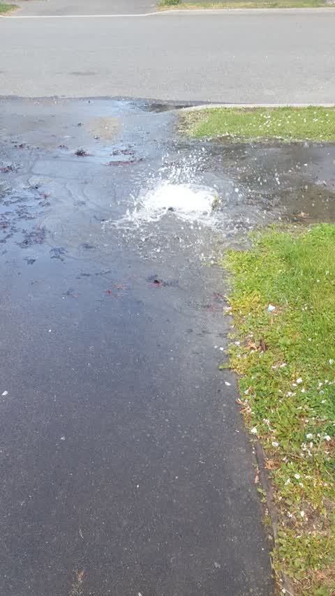 Water Leak, a report photo