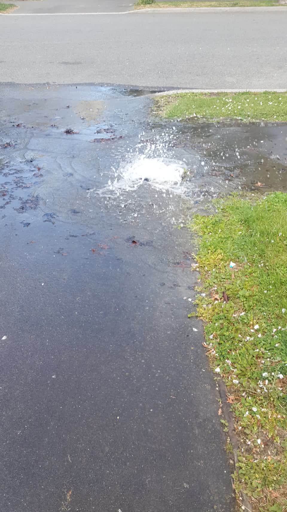 The photograph attached to this water leak report