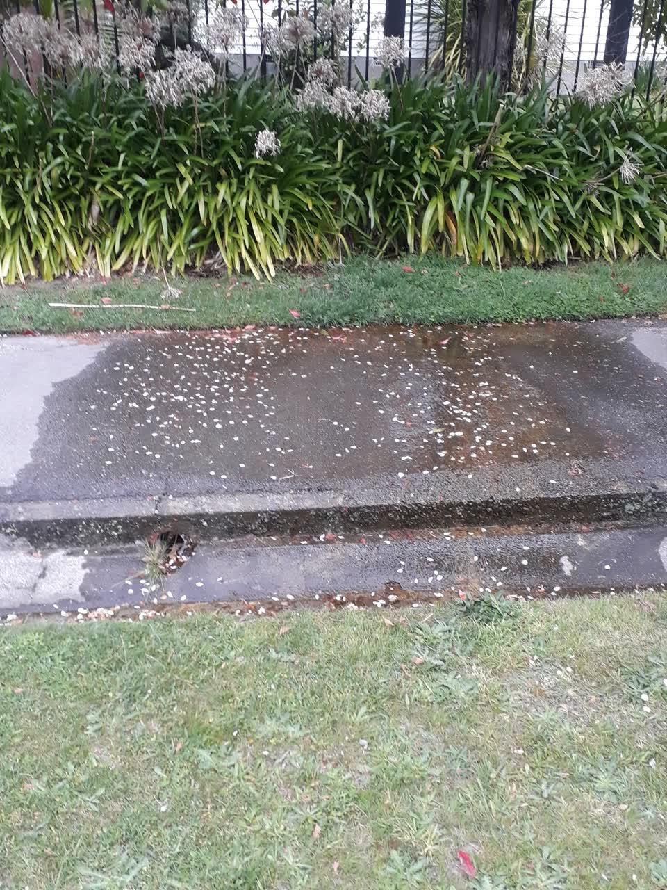 The photograph attached to this water leak report