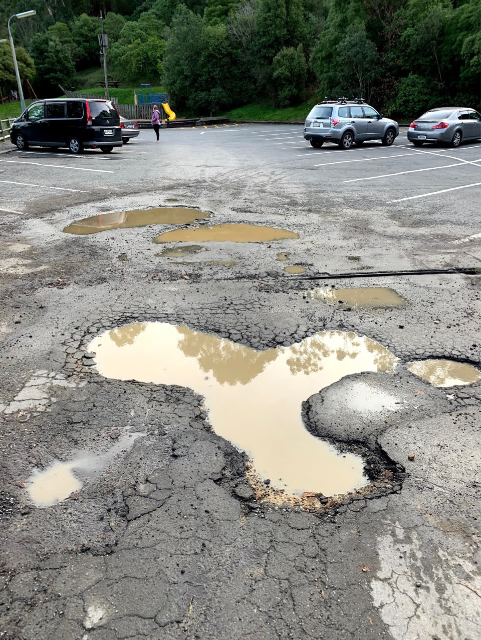 The photograph attached to this parks report