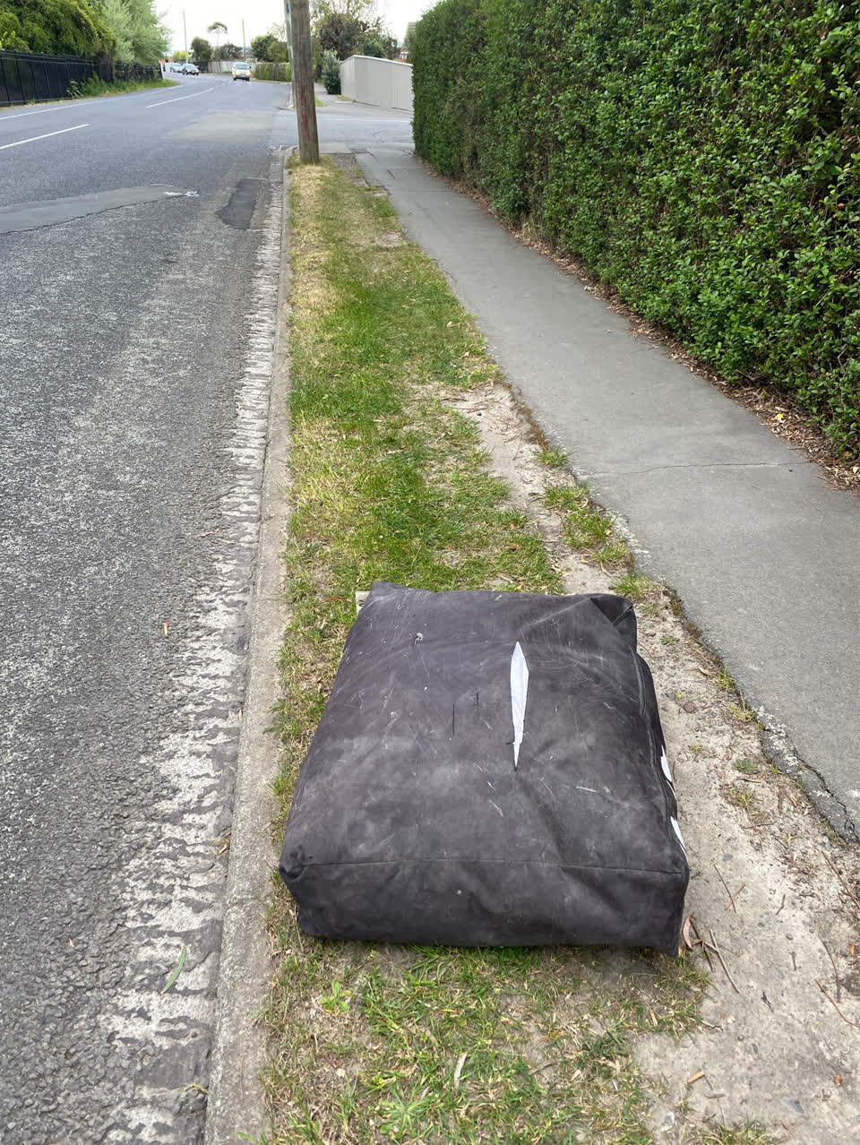 The photograph attached to this dumped rubbish report