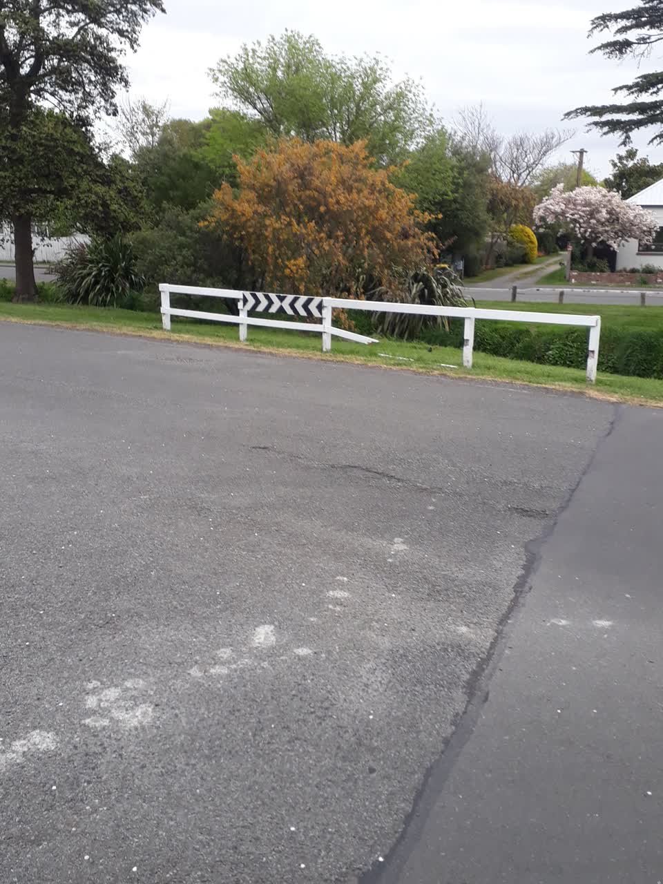 The photograph attached to this parks report