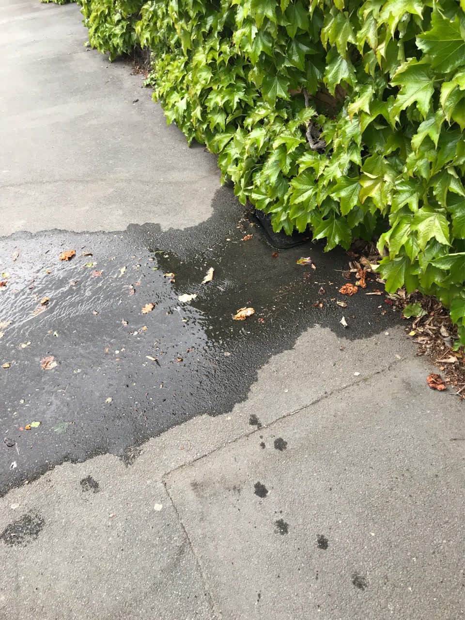 The photograph attached to this water supply report