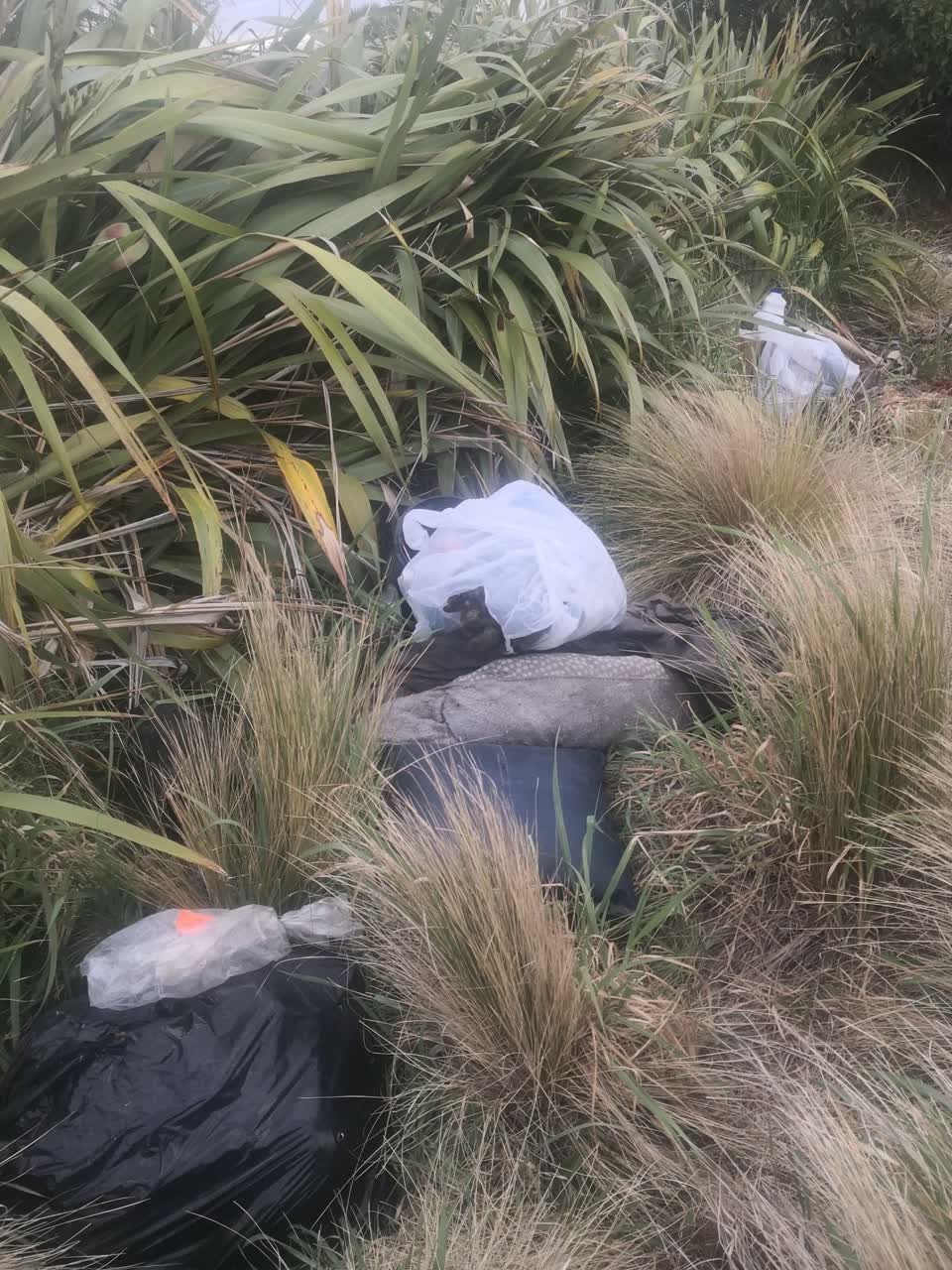 The photograph attached to this dumped rubbish report