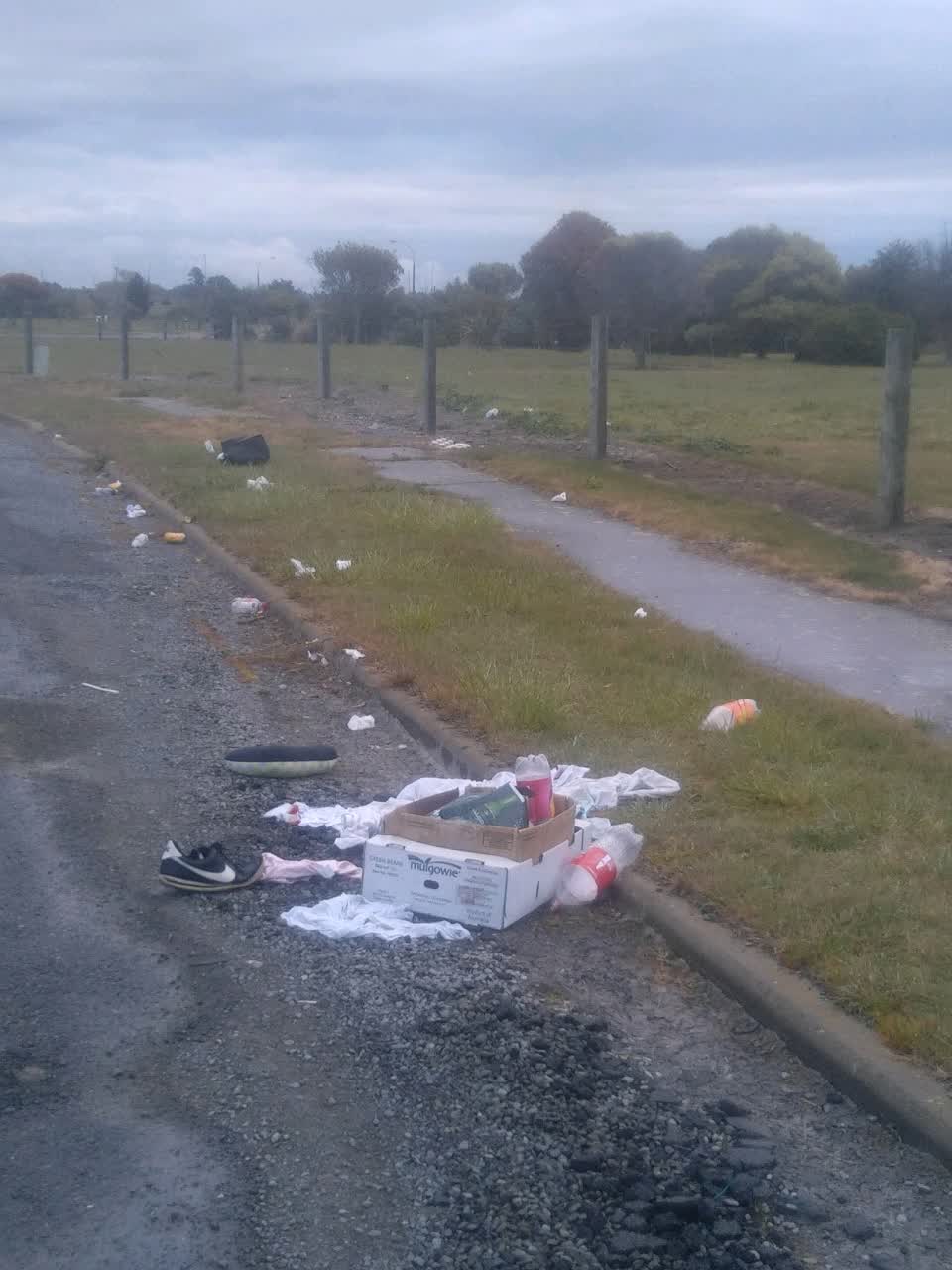 The photograph attached to this dumped rubbish report