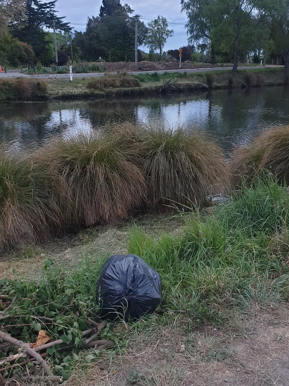 The photograph attached to this dumped rubbish report