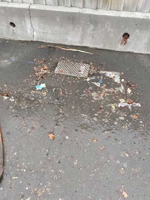 Water Leak, a report photo