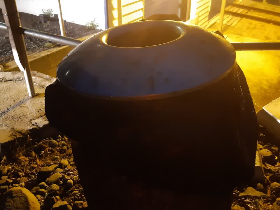 The photograph attached to this rubbish and bins - general report