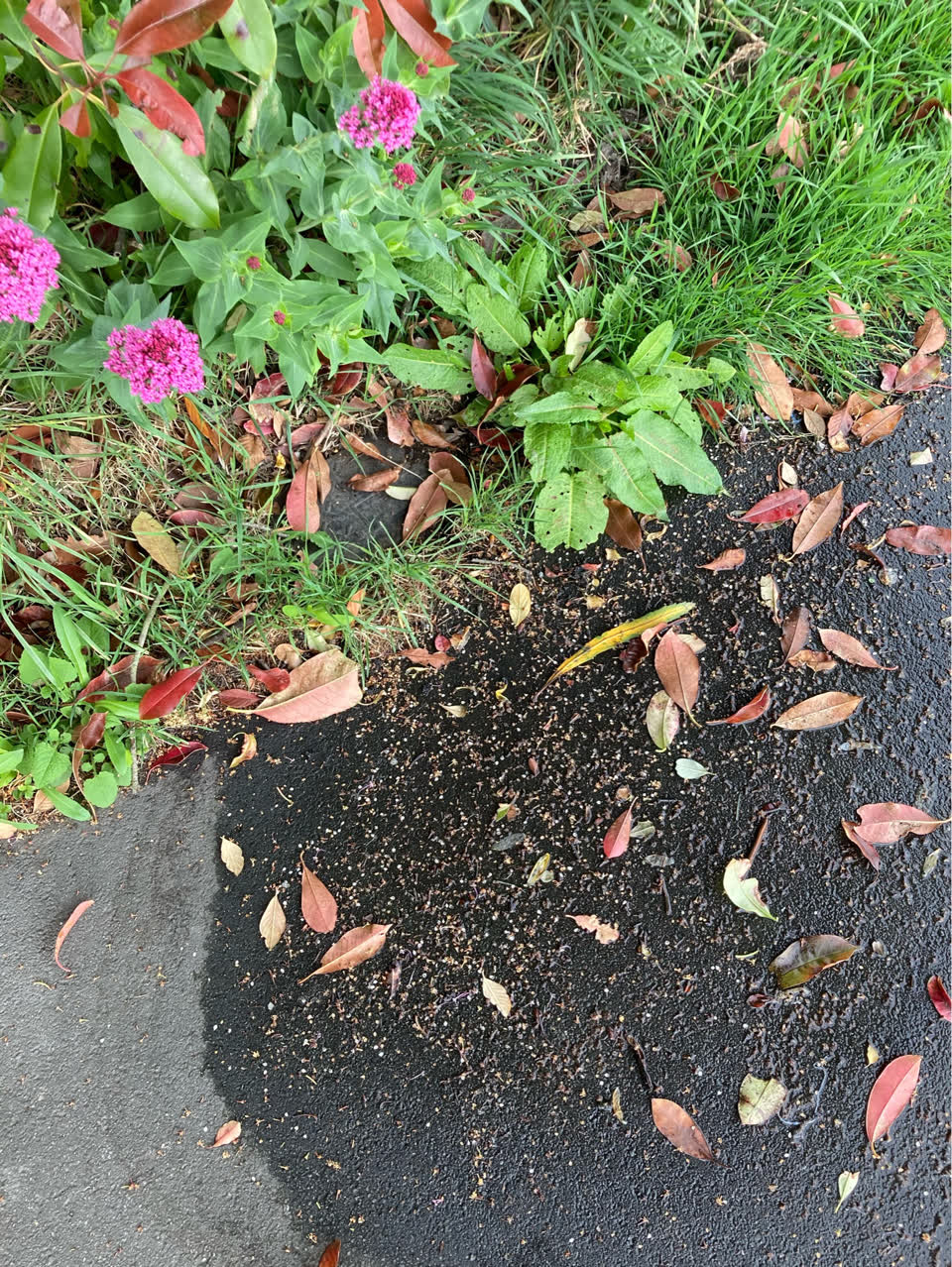 The photograph attached to this water leak report