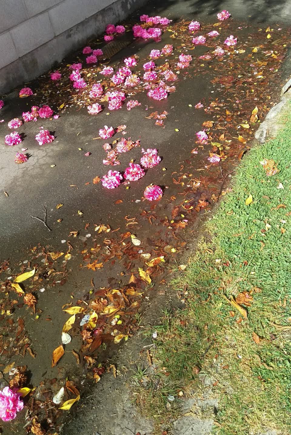 The photograph attached to this water leak report