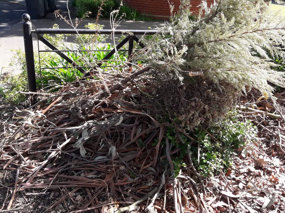 The photograph attached to this parks report