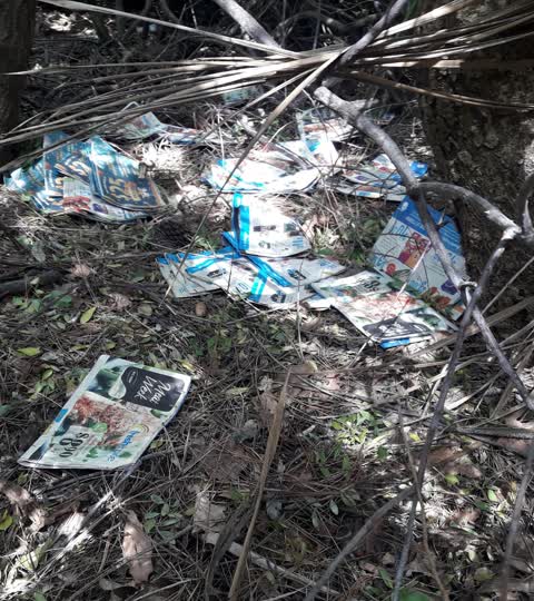 Parks, a report photo