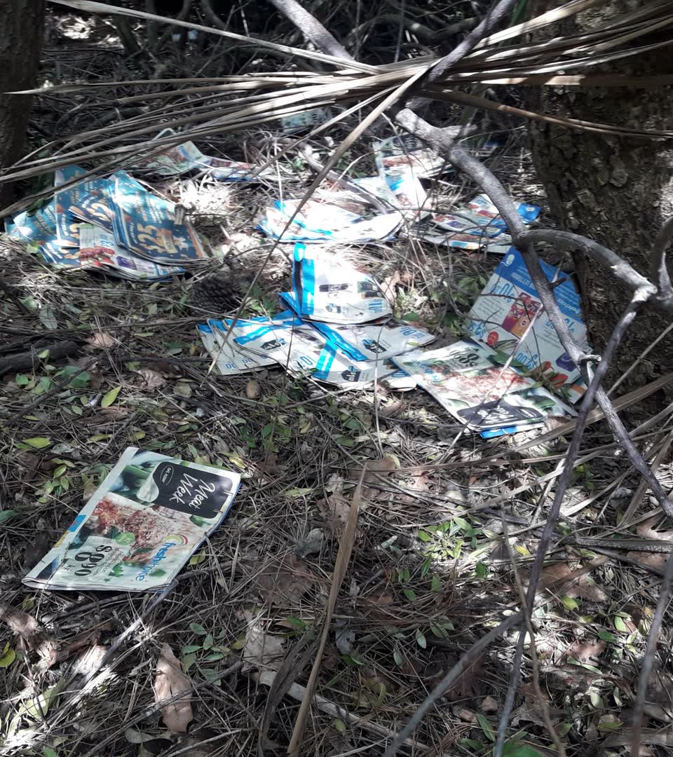 The photograph attached to this parks report