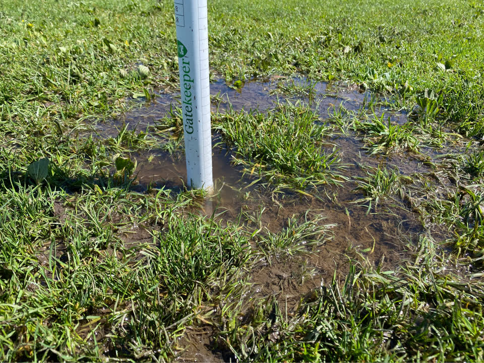 The photograph attached to this parks report