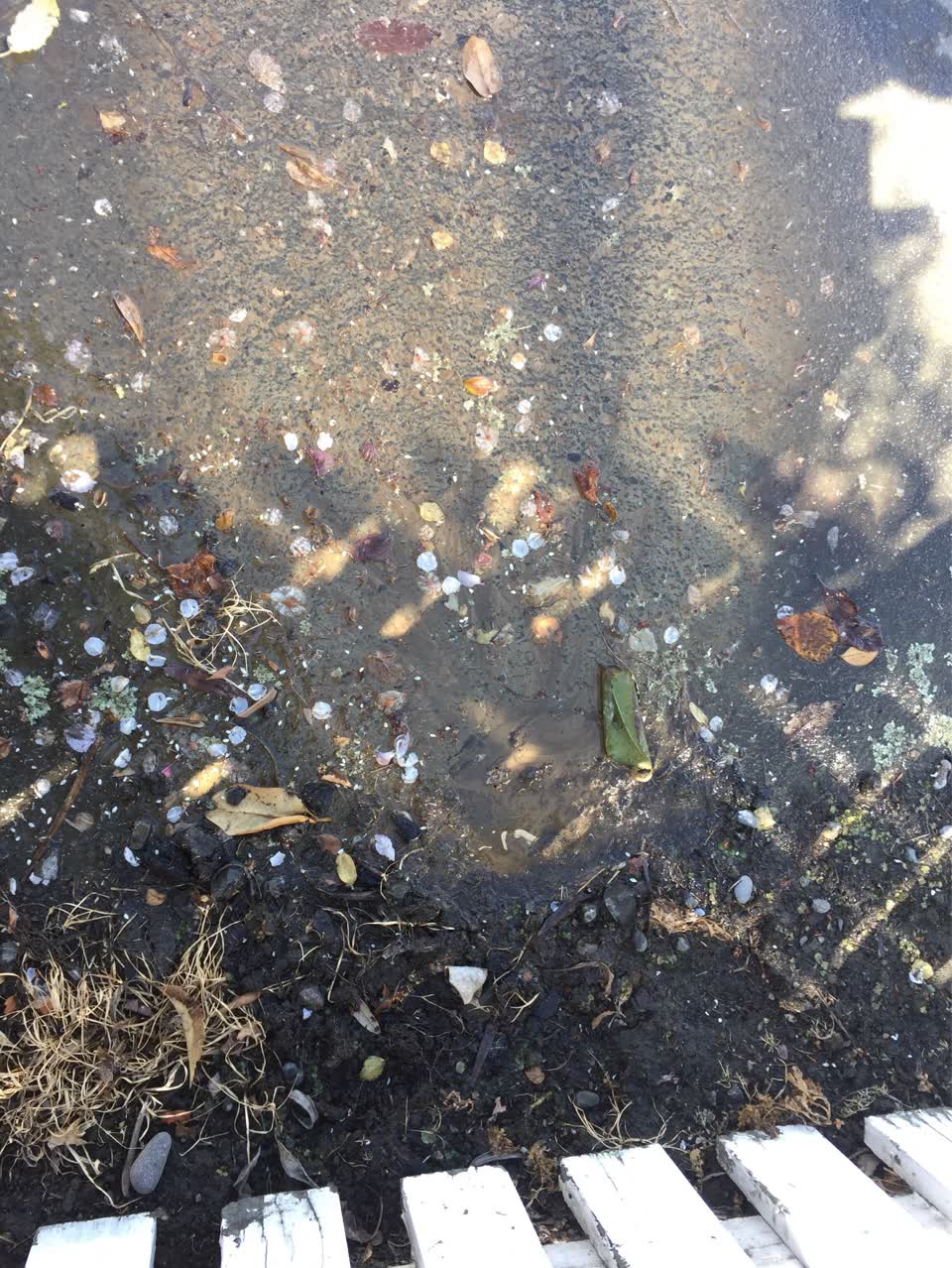 The photograph attached to this water leak report