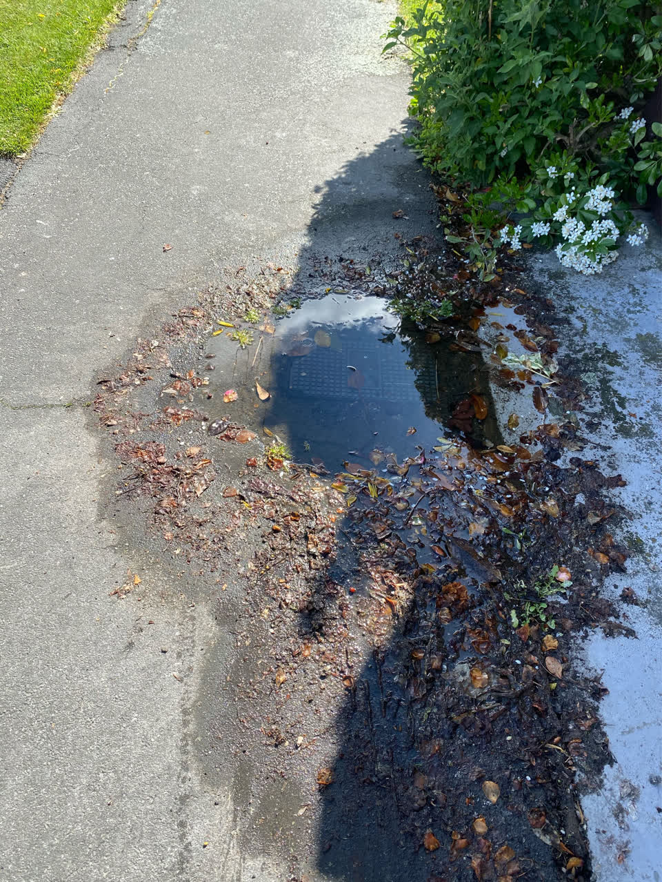 The photograph attached to this water leak report