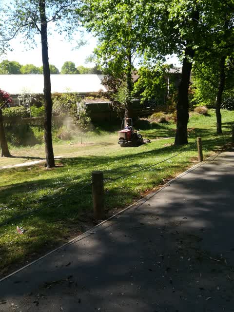 Parks, a report photo