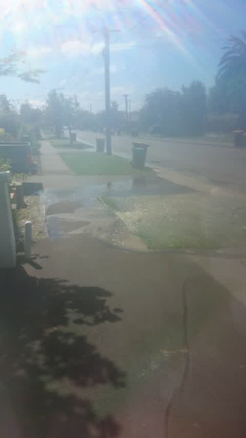 Water Leak, a report photo