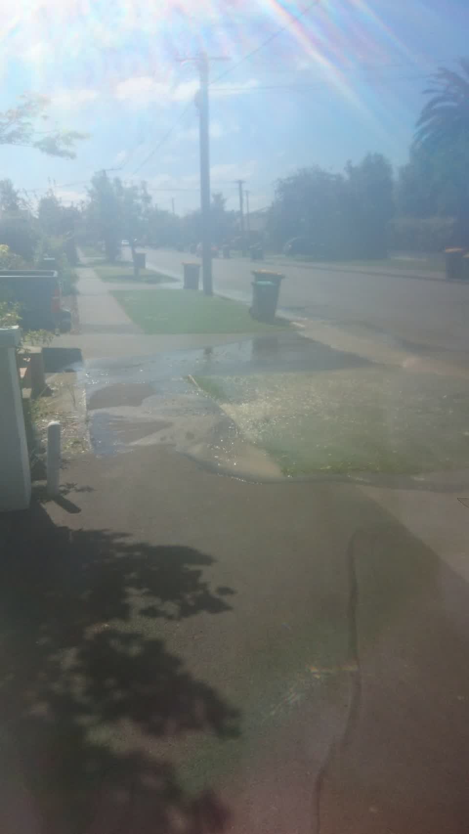 The photograph attached to this water leak report