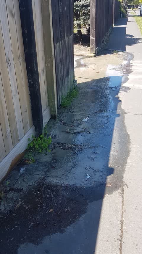 Water Leak, a report photo