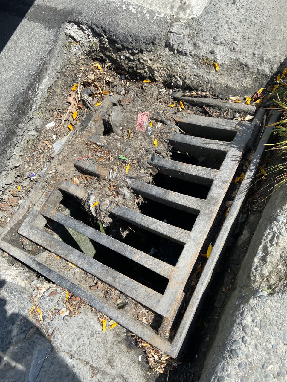 The photograph attached to this roads - general report
