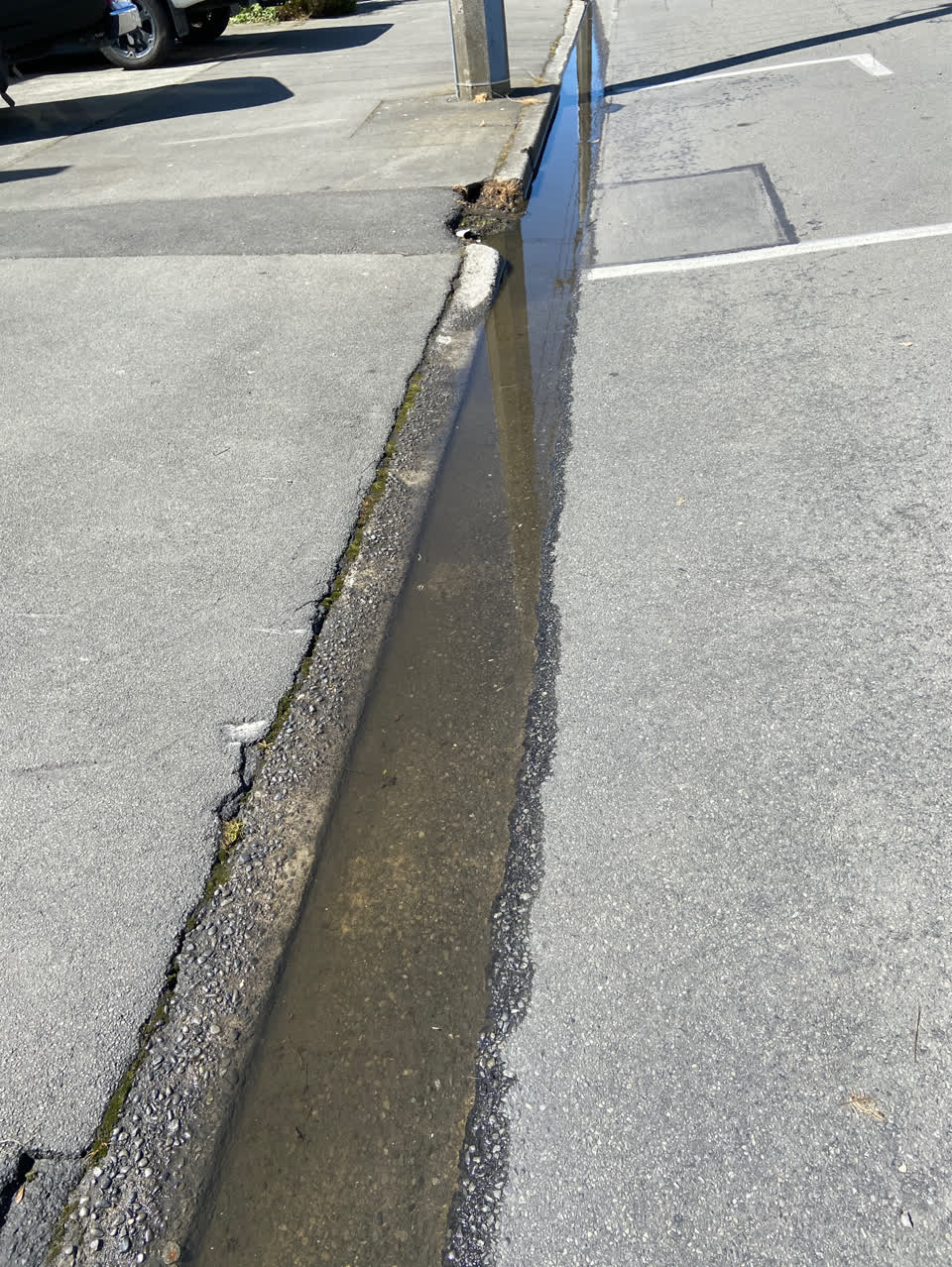 The photograph attached to this water leak report