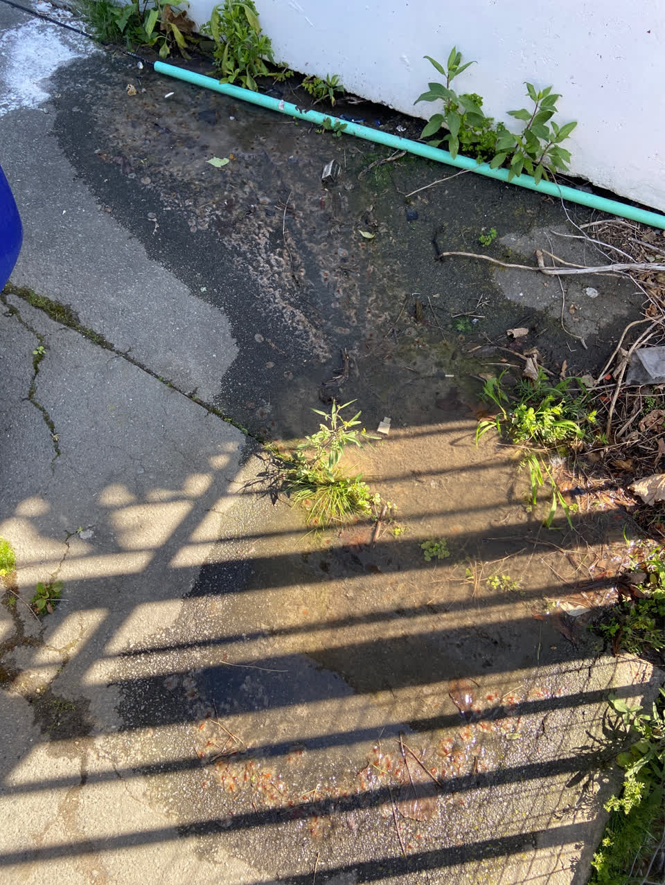 The photograph attached to this water leak report