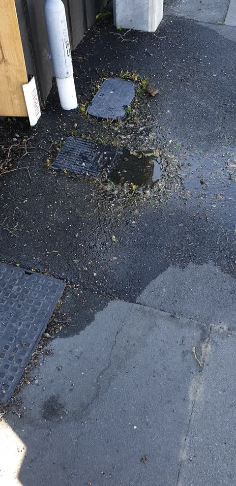 Water Leak, a report photo