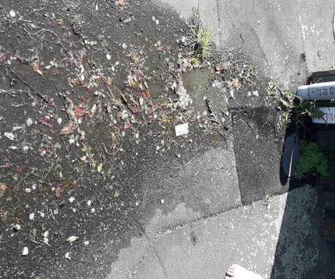 Water Leak, a report photo
