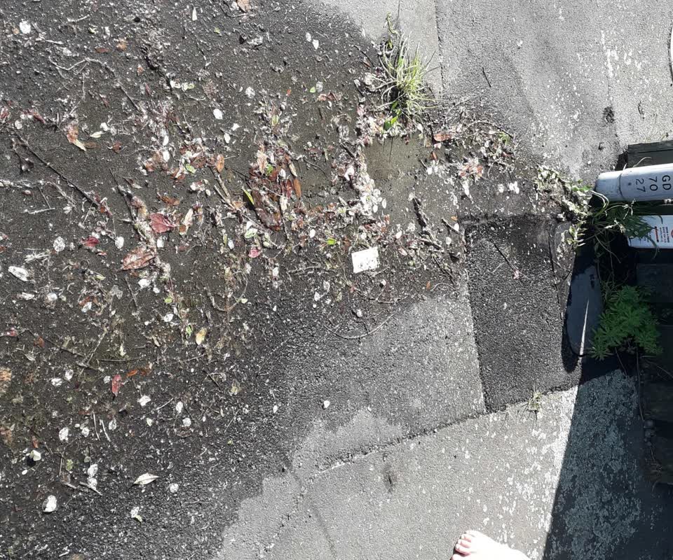 The photograph attached to this water leak report