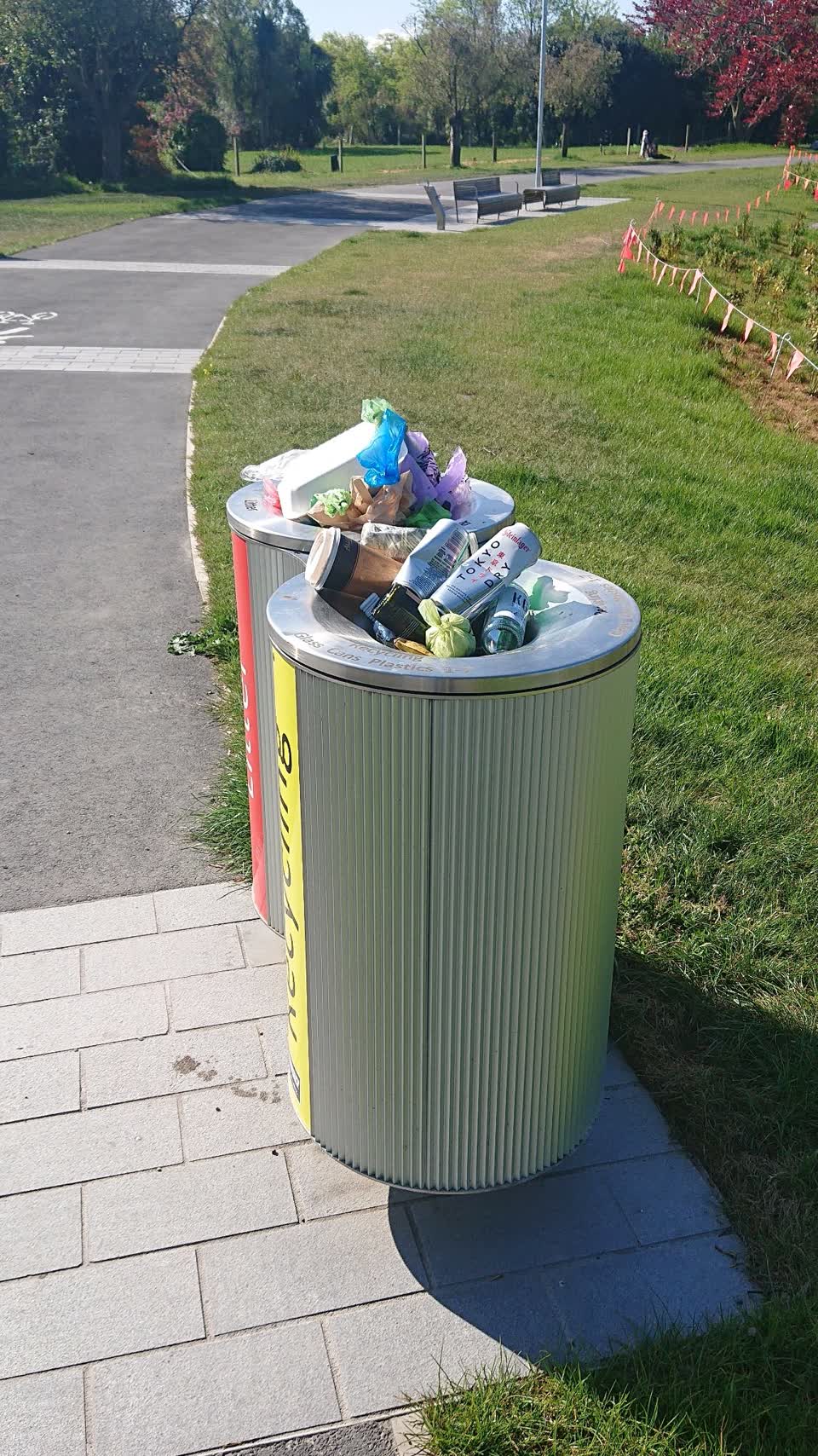 The photograph attached to this rubbish and bins - general report