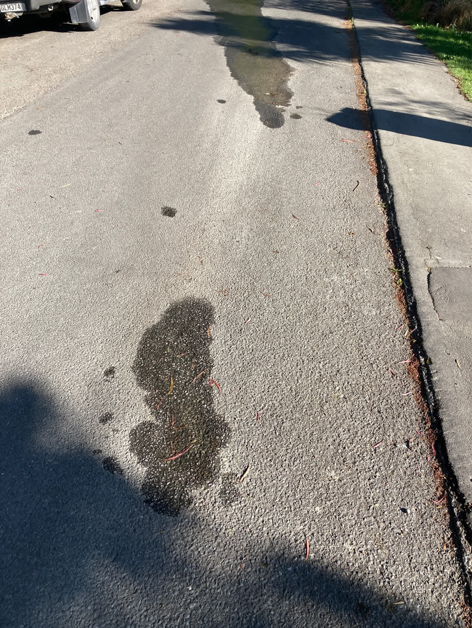 The photograph attached to this water leak report