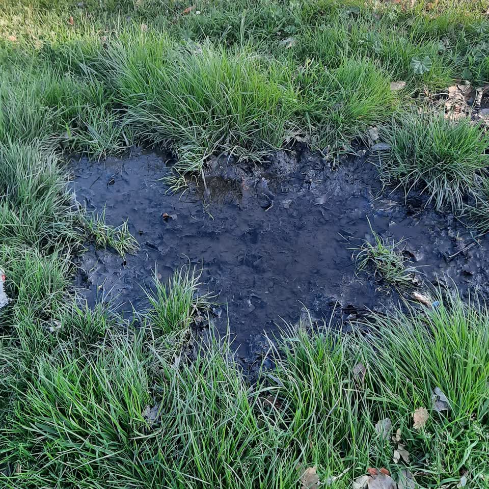 The photograph attached to this water leak report