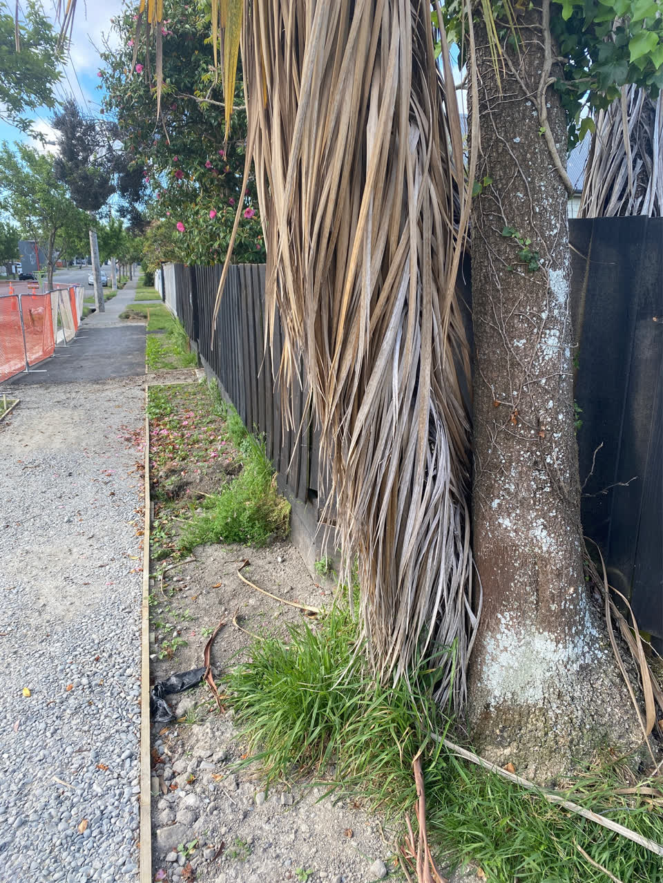 The photograph attached to this trees - general report