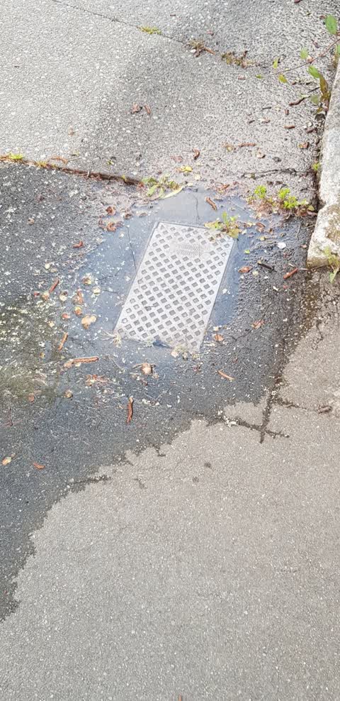 Water Leak, a report photo
