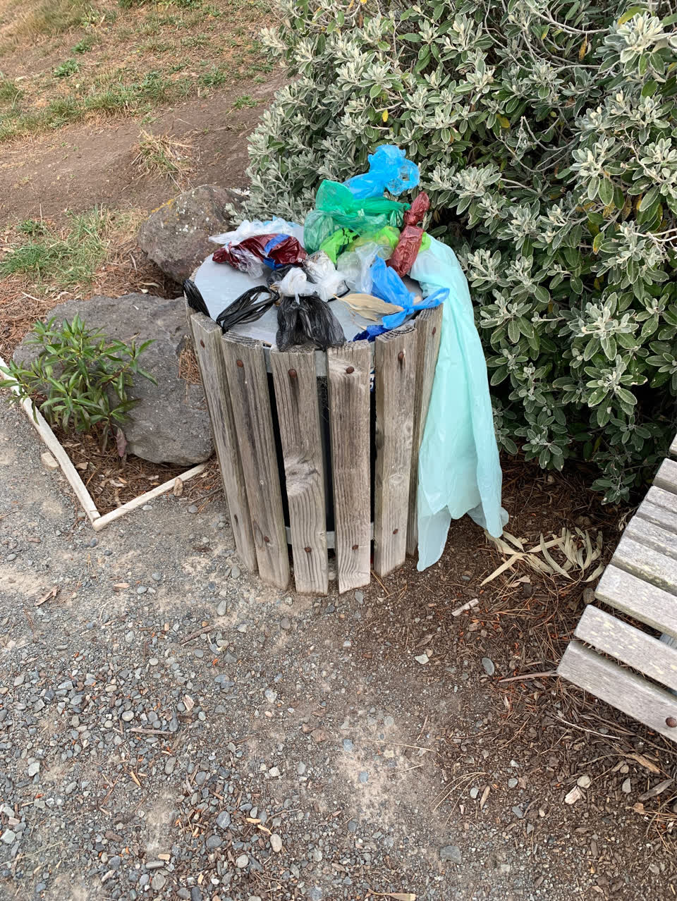 The photograph attached to this rubbish and bins - general report